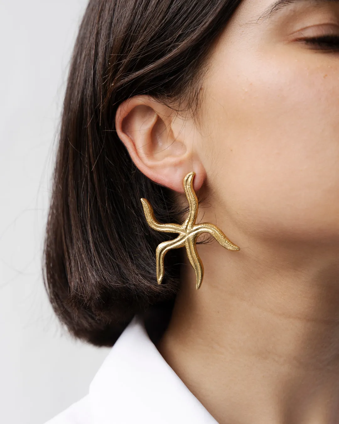 Asteroidea Starfish earrings