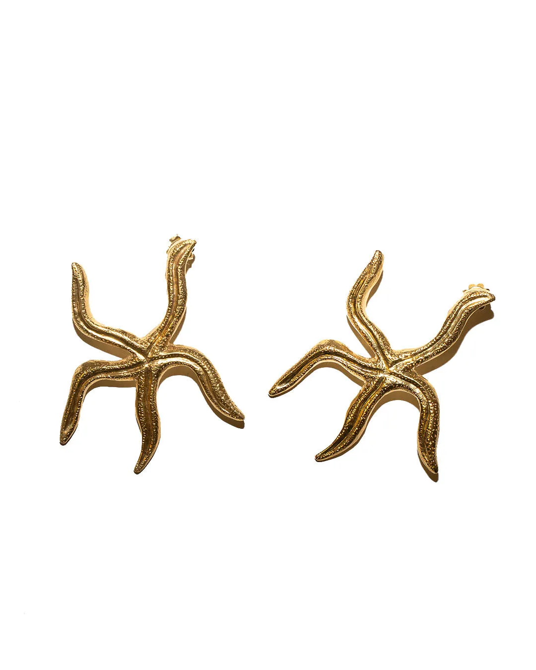 Asteroidea Starfish earrings