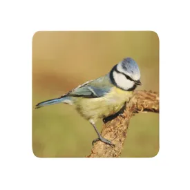 Blue Tit Coaster