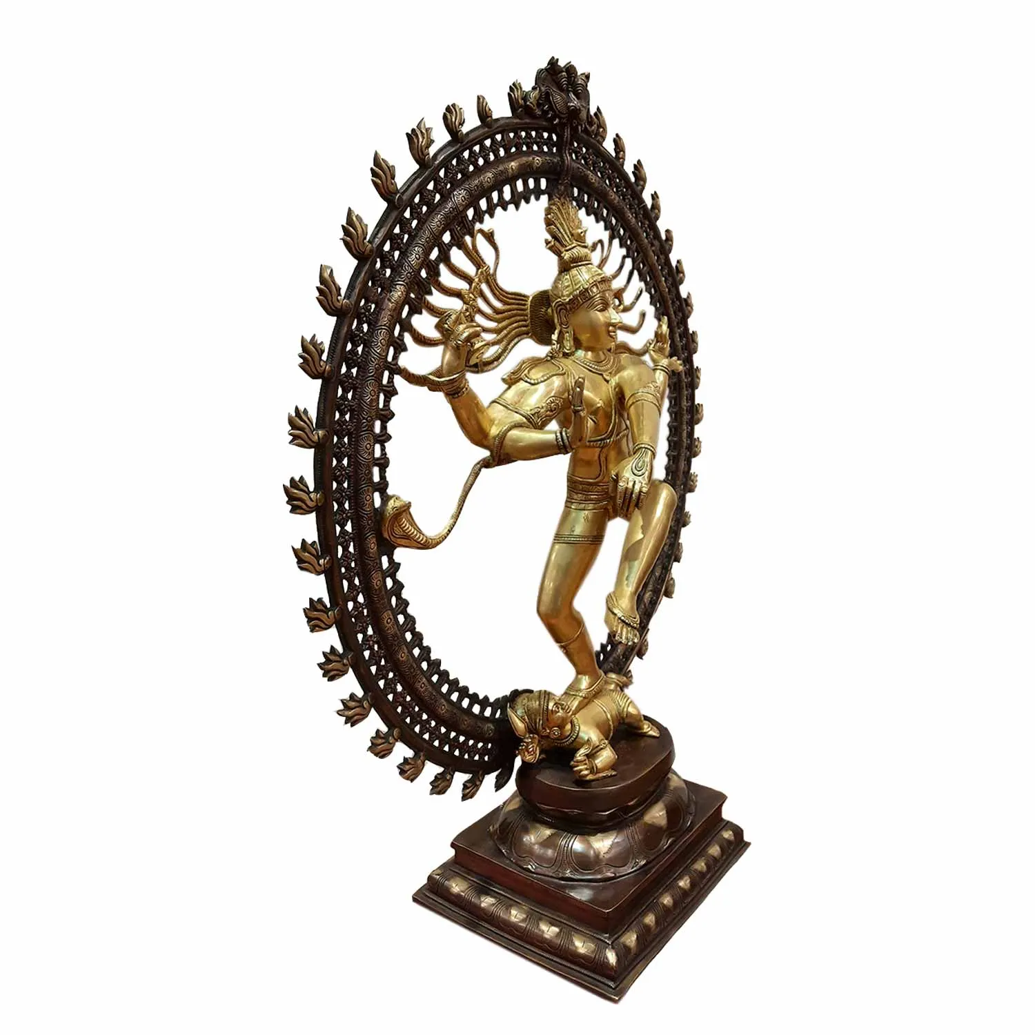 Brass Natraj in Ring with Two Tone Finish 37 in