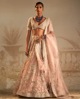 Doli Lehenga Set