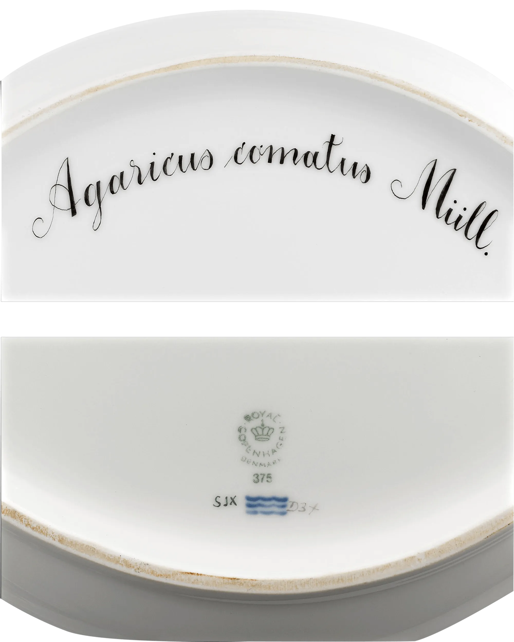 Flora Danica Fungi Oval Platter by Royal Copenhagen