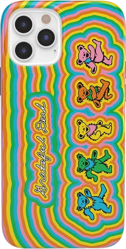 Grateful Dead | In the Groove | Grateful Dead Dancing Bears Case