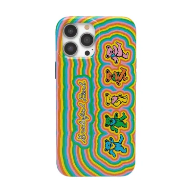 Grateful Dead | In the Groove | Grateful Dead Dancing Bears Case