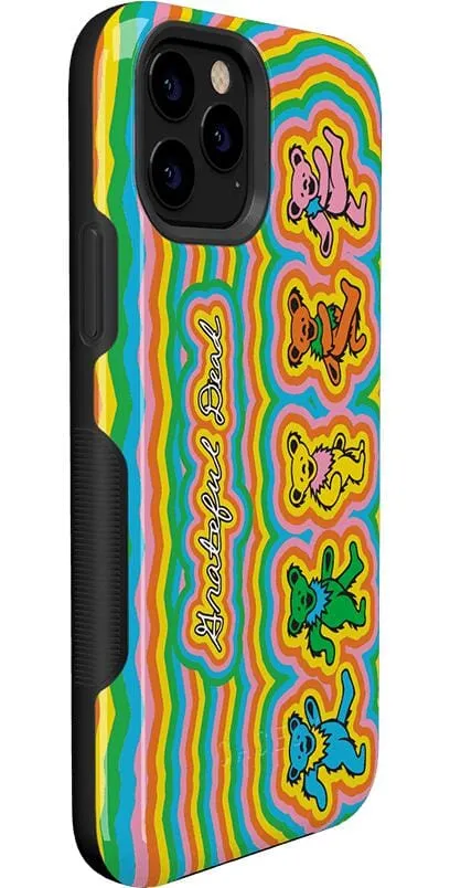 Grateful Dead | In the Groove | Grateful Dead Dancing Bears Case