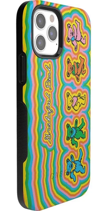 Grateful Dead | In the Groove | Grateful Dead Dancing Bears Case