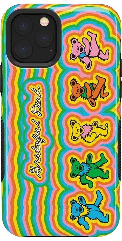 Grateful Dead | In the Groove | Grateful Dead Dancing Bears Case