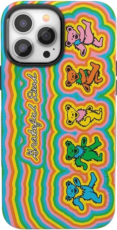 Grateful Dead | In the Groove | Grateful Dead Dancing Bears Case