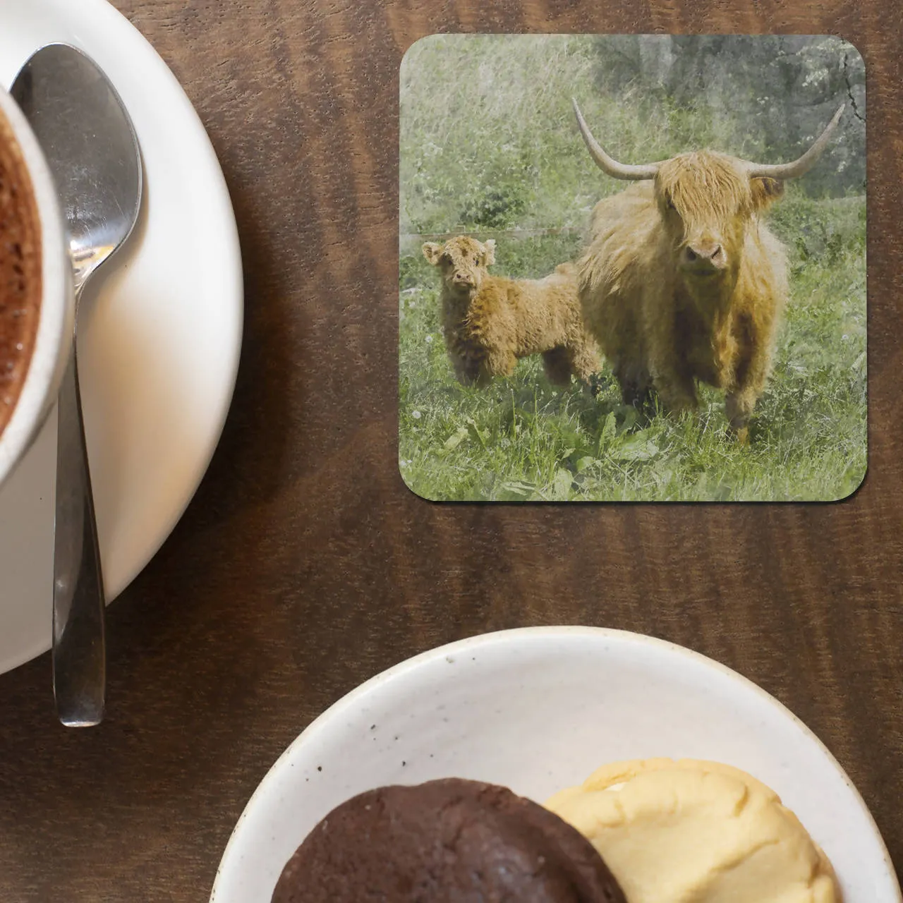 Highland Cow and Calf Coaster