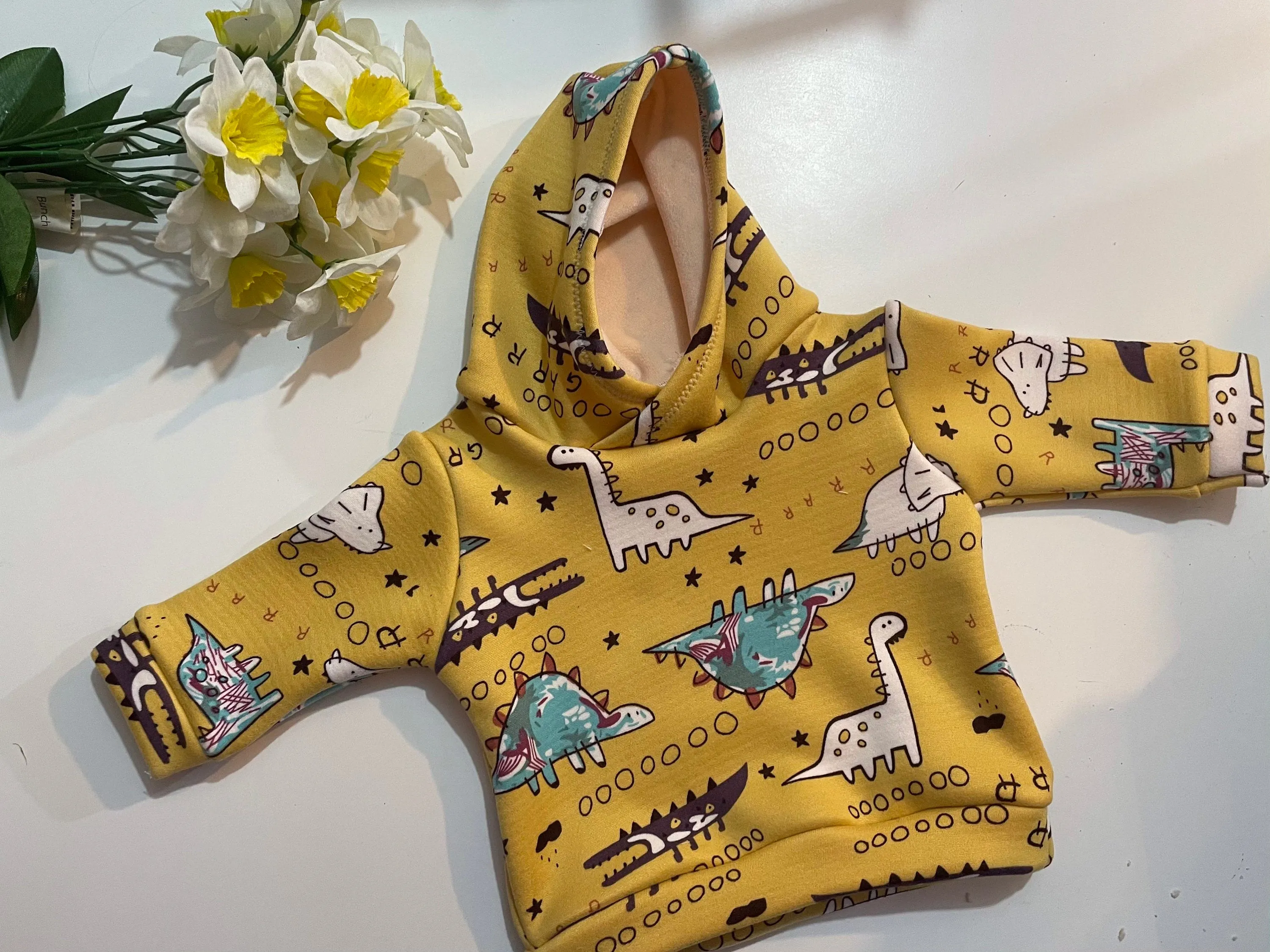 Kids Dinosaur hoodie,