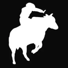 "Bull Dance" High Performance Vinyl Decal