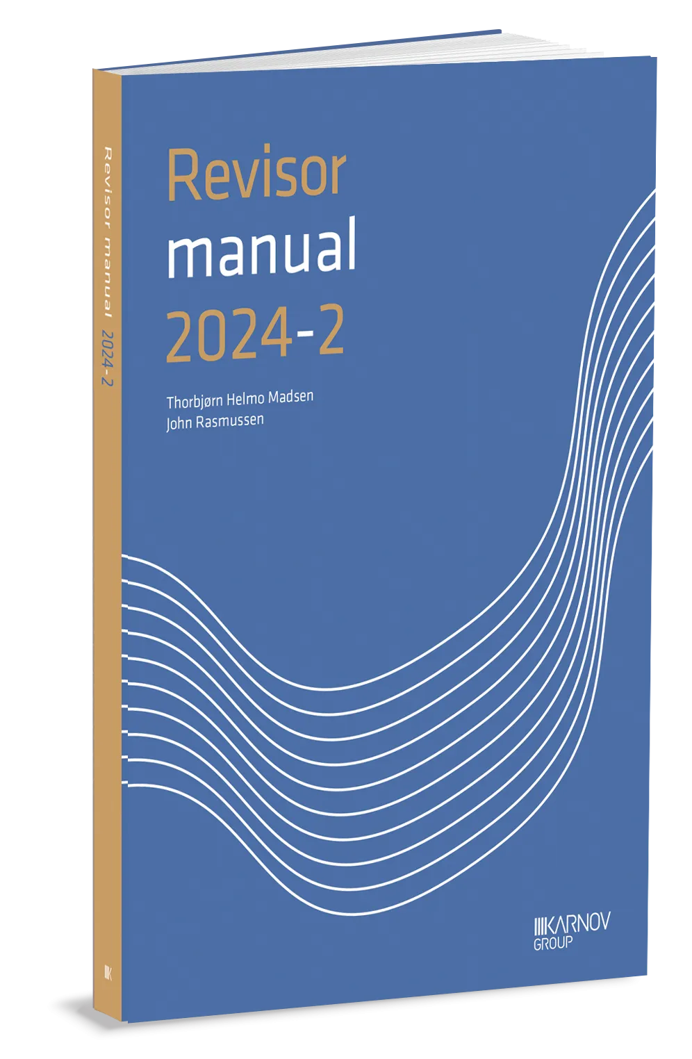 Revisormanual 2024-2 - Abonnement